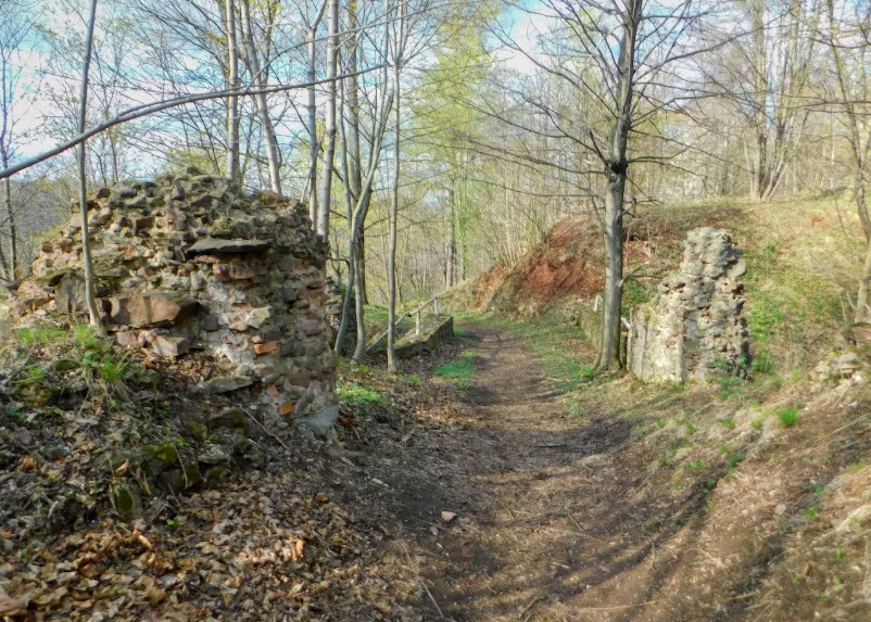 Castle Ruins Fulštejn, Czech Republic (Czechia)